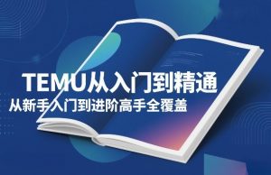 TEMU从入门到精通,从新手入门到进阶高手全覆盖-资源站