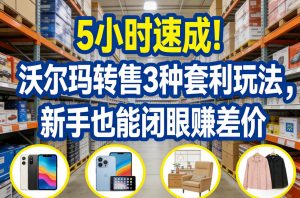 5小时速成！沃尔玛转售3种套利玩法，新手也能闭眼賺差价-资源站