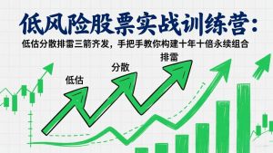 低风险股票实战训练营：低估分散排雷三箭齐发，手把手教你构建十年十倍永续组合-资源站