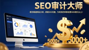 SEO审计大师：教你精通网站分析，修复SEO问题，为有效的审核收费5000美元以上！-资源站