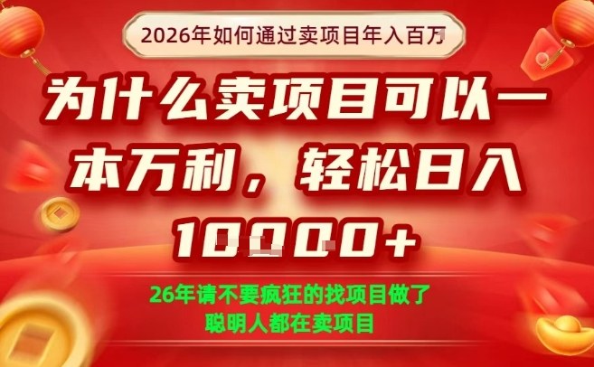 一单净利润1K+，26年想年入100个W，死磕卖项目就够了【揭秘】-资源站