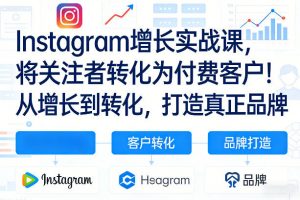 Instagram增长实战课，将关注者转化为付费客户！从增长到转化，打造真正品牌(双语字幕)-资源站