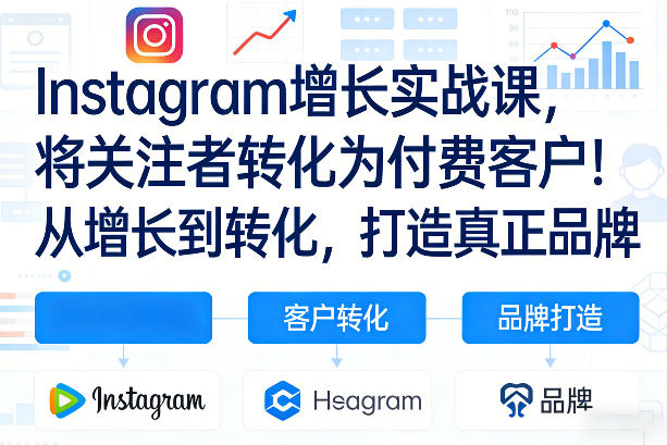 Instagram增长实战课，将关注者转化为付费客户！从增长到转化，打造真正品牌(双语字幕)-资源站