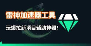 雷神加速器项目模拟器_无脑1分钟1条视频矩阵_疯狂报单打法【焚诀】-资源站