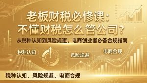 老板财税必修课:不懂财税怎么管公司?从税种认知到风险规避,电商创业者必备合规指南-资源站
