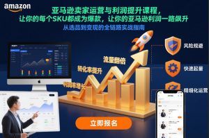 亚马逊卖家运营与利润提升课程，让你的每个SKU都成为爆款，让你的亚马逊利润一路飙升(更新26年3月)-资源站