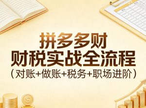 拼多多财税实战全流程(对账+做账+税务+职场进阶)-资源站