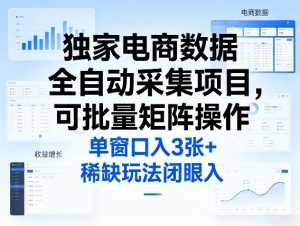 独家电商数据全自动采集项目，可批量矩阵操作，单窗口日入3张+，稀缺玩法闭眼入【揭秘】-资源站