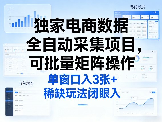 独家电商数据全自动采集项目，可批量矩阵操作，单窗口日入3张+，稀缺玩法闭眼入【揭秘】-资源站
