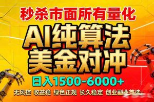 2026全网首发黑马项目，AI美金算法对冲，日入2000-6000+，稳定长效0风险，彻底告别996死工资-资源站