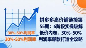 拼多多高价铺链接第55期：6阶段实操破解低价内卷，30%-50%利润率爆款打造全攻略-资源站