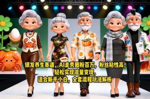 银发养生赛道，AI走秀圈粉百万，粉丝粘性高，轻松实现流量变现，适合新手小白，全套流程玩法解析-资源站