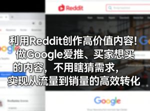 利用Reddit创作高价值内容！做Google爱推、买家想买的内容，不用瞎猜需求，实现从流量到销量的高效转化-资源站