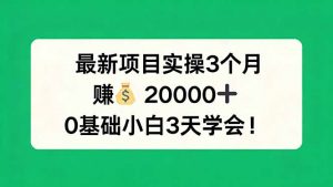 最新项目实操3个月，赚钱20000+，0基础小白3天学会！-资源站