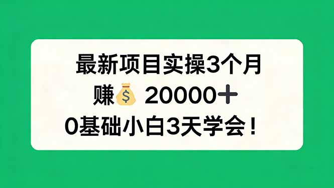 最新项目实操3个月，赚钱20000+，0基础小白3天学会！-资源站