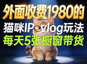 宠物赛道猫咪IP-vlog玩法，26条视频涨粉29W，每天5张橱窗带货拆解-资源站