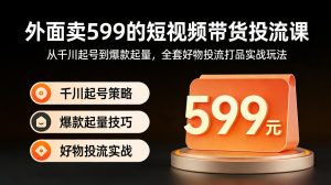 外面卖599的短视频带货投流课：从千川起号到爆款起量，全套好物投流打品实战玩法-资源站