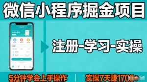 微信小程序掘金项目，项目很简单，5分钟就能学会上手操作，实操7天賺了1700+【揭秘】-资源站