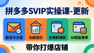拼多多SVIP实操课-26年4月，截流卡大促+无痕涨价+无限群爆款+AI赋能爆单新玩法，带你打爆店铺-资源站