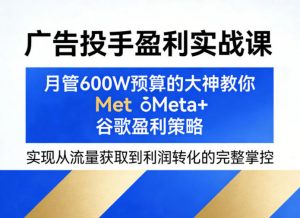 广告投手盈利实战课,月管600W预算的大神教你Meta+谷歌盈利策略,实现从流量获取到利润转化的完整掌控-资源站