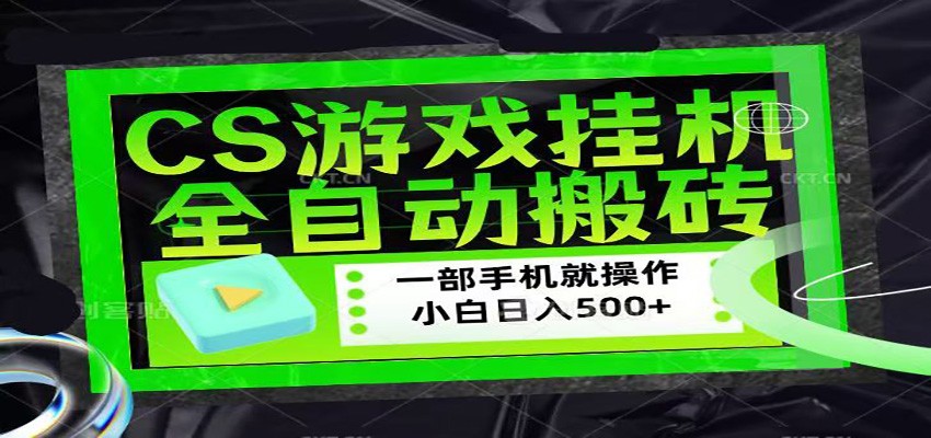 CSGO游戏挂机捡漏搬砖，超稳定的项目，带领1000+小白实现日入500+-资源站