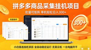 拼多多商品信息全自动采集项目,批量可矩阵,单机轻松日入300+,无需云机一台电脑开干【揭秘】-资源站