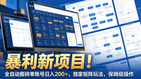 暴利新项目！全自动搬砖单账号日入200+，独家矩阵玩法，保姆级操作【揭秘】-资源站