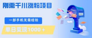 刚需千川涨粉项目，一部手机无需技术，单日变现1k+，当天做当天见收益【揭秘】-资源站