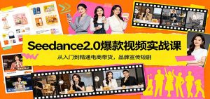 Seedance2.0爆款视频实战课：从入门到精通电商带货，品牌宣传短剧-资源站