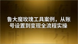 引流创业粉卖软件教学：鲁大魔玫瑰工具案例，从账号设置到变现全流程实操-资源站