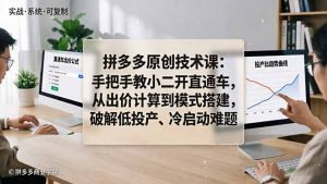 拼多多原创技术课：手把手教小二开直通车，从出价计算到模式搭建，破解低投产、冷启动难题-资源站