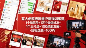 某大佬超级流量IP搞钱训练营，1个微信号+1万个微信好友+1个主打品+100条朋友圈-短视选题=100W-资源站
