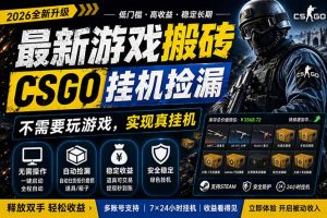 最新游戏搬砖，CSGO纯挂机，不需要玩游戏，实现真挂机，月入1W+，五一小高峰上车可吃肉，…-资源站