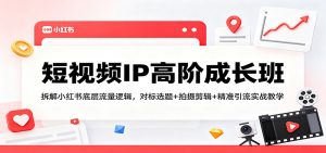 短视频IP高阶成长班：拆解小红书底层流量逻辑，对标选题+拍摄剪辑+ 精准引流实战教学-资源站
