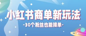 合新手小白操作的小红书商单新玩法，低粉丝也能接单，一个月接三单赚了150+！-资源站