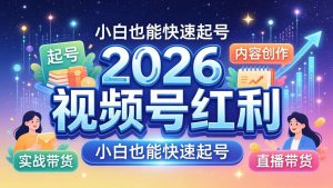 2026视频号红利实战营，大佬亲授起号、内容、直播、IP、投流、私域、矩阵全套落地打法-资源站