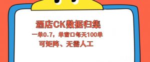 上班也能玩的酒店CK数据归集，一单0.7单窗口每天可做100单，一个人就能矩阵操作【揭秘】-资源站