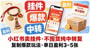 小红书卖挂件，不囤货纯中转复制爆款玩法，单日盈利3-5张-资源站