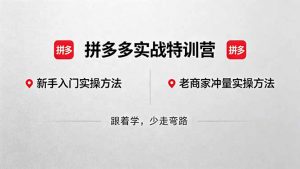 拼多多实战特训营(更新5月3-资源站