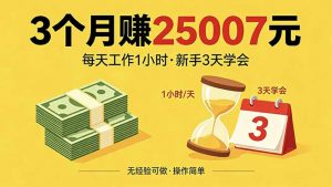 3个月赚钱25007元，每天工作1个小时，新手3天全部学会！-资源站