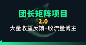【团长合作2.0】视频矩阵项目_招发手矩阵+剪辑师，共赢项目【揭秘】-资源站