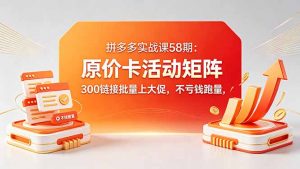 拼多多实战课58期：原价卡活动矩阵，300链接批量上大促，不亏钱跑量-资源站