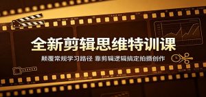 全新剪辑思维特训课：颠覆常规学习路径，靠剪辑逻辑搞定拍摄创作-资源站