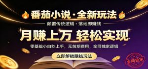 番茄小说5月最新独家玩法,稳定落地实测月入过万!-资源站