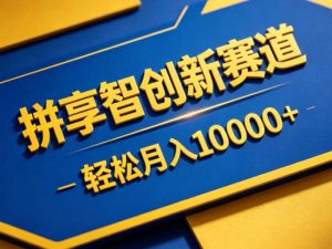 拼享智创新赛道，轻松月入1W+，门槛极低、收益稳定、可长期放大的轻资产项目【揭秘】-资源站