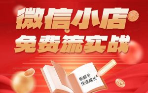 微信小店免费流实战，有货源无货源双模式，从开店到爆单全实操课，小白也能月入1W+-资源站