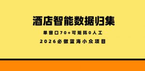 酒店智能数据归集，小众蓝海已经稳定半年之久，单窗口70+零成本矩阵开干【揭秘】-资源站