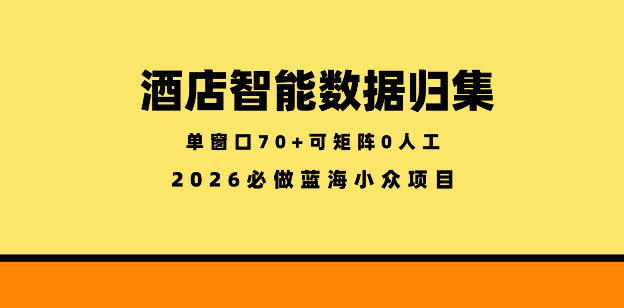 酒店智能数据归集，小众蓝海已经稳定半年之久，单窗口70+零成本矩阵开干【揭秘】-资源站