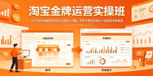 淘宝金牌运营实操班,从0开始系统解决你淘宝运营核心问题,手把手带你完成从小白到高手的蜕变-资源站