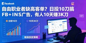 自由职业者缺高客单?日投10刀搞FB+INS广告,有人10天赚3K刀!【原创双语字幕】-资源站